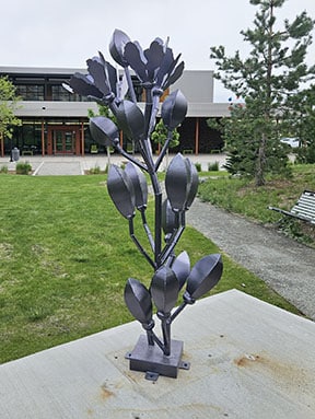 Desert Vines by artist Suzanne Kane is a steel sculpture that mimics the rugged plants that flourish in arid landscapes.
