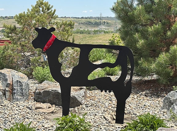 Holey Cow is a steel sculpture of a cow with holes in his body.